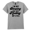 Adult t-shirt Heavy Cotton Thumbnail